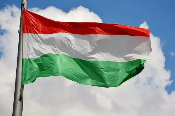 نتیجه مصاحبه سفارت مجارستان چه زمانی اعلام می‌شود؟