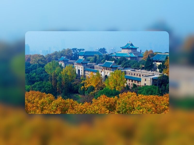 پرطرفدارترین رشته‌های دانشگاه ووهان چین