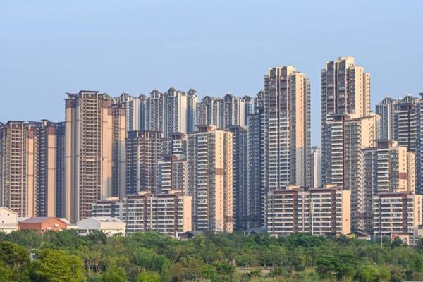 قیمت ملک در چین