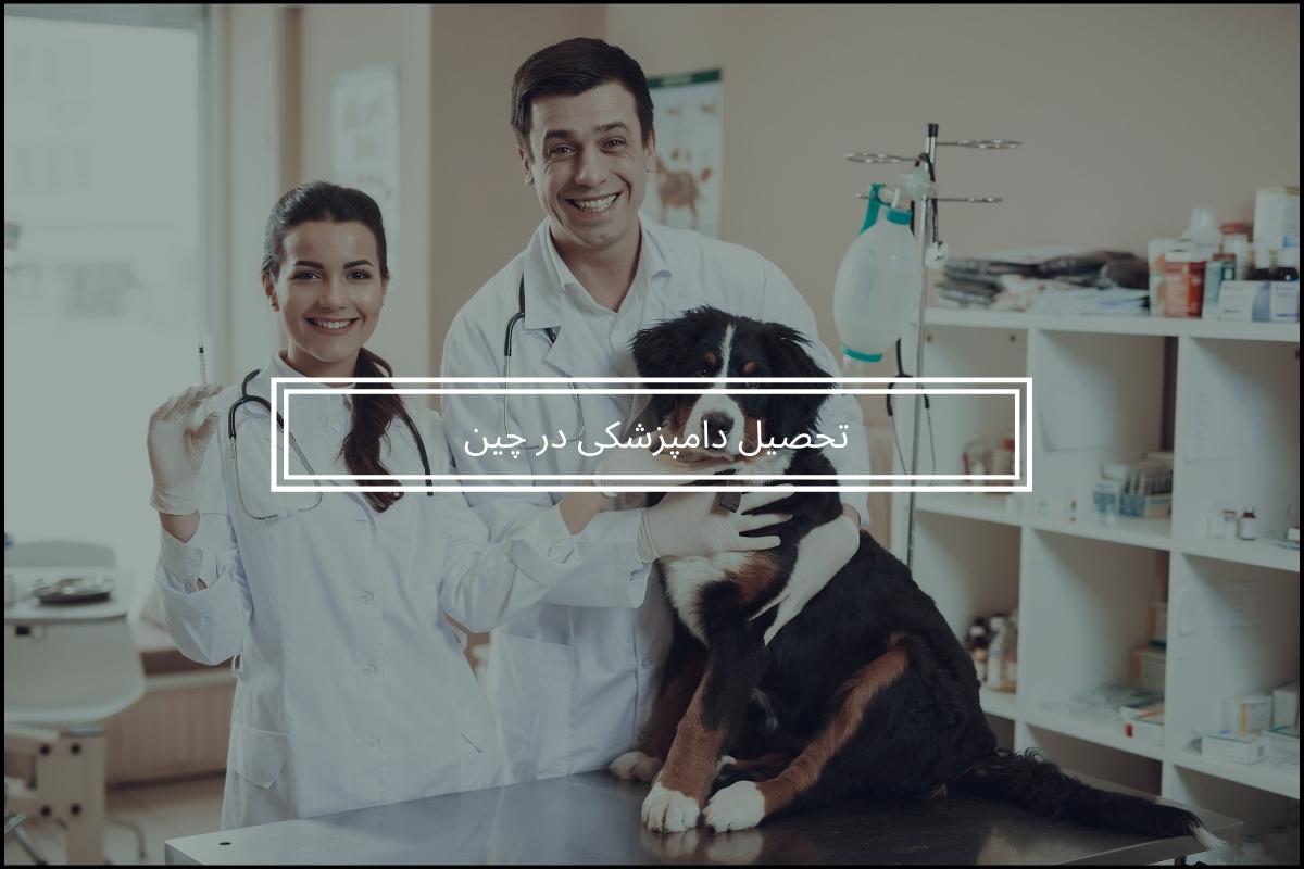 تحصیل دامپزشکی در چین / شرایط و هزینه